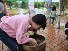 단오 민속 체험행사 전남도, 농업박물관서 31일 개최