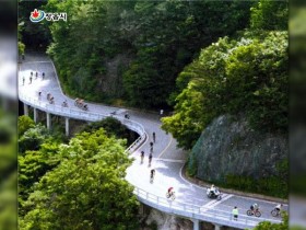 2025 정읍 내장산 그란폰도·메디오폰도 개최