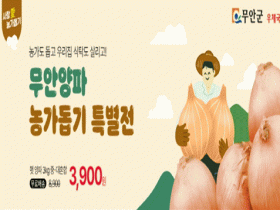 13,000건 한정판매…전남지방우정청 '무안양파 농가 돕기 특별전' 추진