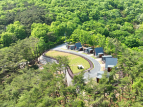 화순 백아산자연휴양림 트리하우스 신규 개장