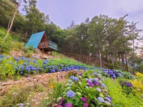 수국꽃 만발한 전남도 정원 Best 7