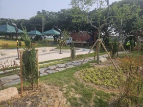 대동팽나무숲·월산사 일대…함평 실외 정원 조성 완료