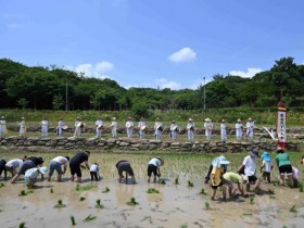 전남농업박물관, 동아시아 쌀 문화 페스타 27일 개막