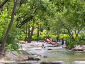 여름 정원캉스로 각광…순천만국가정원, 정원의 힘(力)