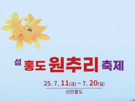 수십만 송이 활짝, 신안 섬 홍도 원추리 축제 11일 개최