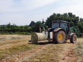 나주시, ‘조사료 추파용 사료작물 종자’ 신청…25일 마감