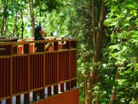 여행 경비 최대 20만원까지… 장성군이 쏜다