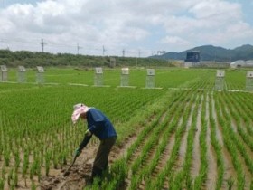 전남도, 저탄소 농산물 인증면적 전국 1위 청신호