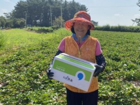 "생산은 농민이, 판매는 익산시가" 소농·고령농 웃는다