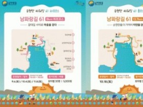 순천만의 가을, '순천만 씨워킹'으로 시작