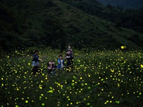 무주반딧불축제 9월6일 개막