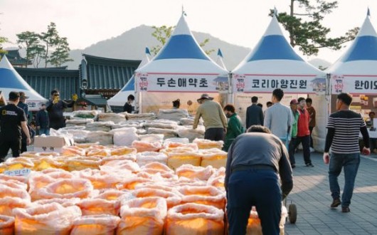 10월, 17~19일 영천은 축제로 활짝…별빛· 와인· 한우· 한약· 문화 동시에 열려