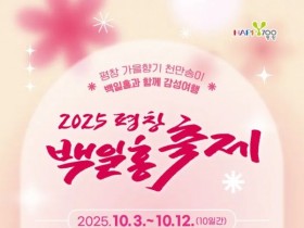 가을 향기 가득…1000만 송이 '평창백일홍축제' 10월 3일 개최
