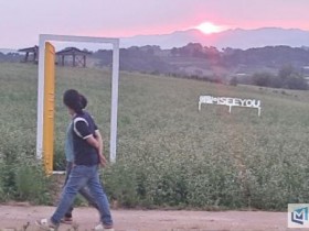 제 15회 두승산 청정메밀축제, 역사의 땅 고부에서 펼쳐지는 메밀꽃 대향연