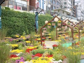 “가을향기 물씬”…관악구, 별빛내린천에 국화정원 조성