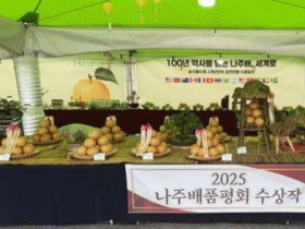 ‘2025 나주농업페스타’, 나주배 품평회 수상작 공개