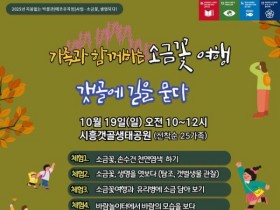 '소금꽃 여행' 체험 프로그램 시흥갯골서 개최