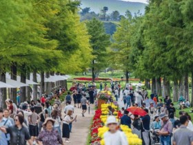 순천만국가정원, 추석 연휴 속 300만 방문객 돌파…저력 과시