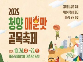 고추빵등 이색먹거리… ‘2025 청양 매운맛 골목 축제’ 24~25일 개최