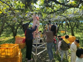 전남, 10월 농촌체험휴양마을에 나주 에코왕곡마을 선정