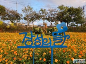 장성 황룡강 가을꽃축제, 꽃길 열차와 문보트 체험까지 18일 개막