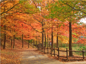 가을빛 물드는 경남수목원, 첫 단풍축제 25일부터 열린다