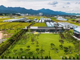 곡성 오곡면, 테라밸리 힐링 피크닉 개최