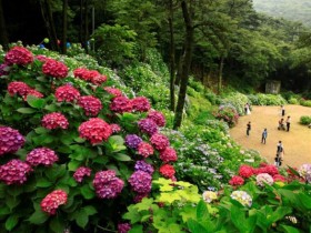 부산 태종대유원지등…산림청, 2025년 모범 도시숲 6곳 선정