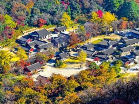 11월 한 달, 전남 15개 사찰 템플스테이 50% 할인