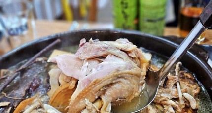 [로컬맛집] 광주 동천동 ‘미주식당’, 옻닭과 갑오징어 무침의 찰떡궁합