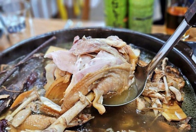 [로컬맛집] 광주 동천동 ‘미주식당’, 옻닭과 갑오징어 무침의 찰떡궁합