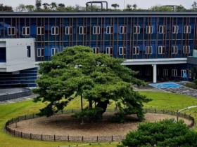 장수군 '기본형 공익직불금' 106억 지급