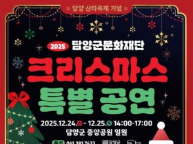 담양 중앙공원서 24~25일, 성탄 특별공연 개최