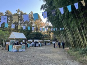 무안 '아우룸황칠 페스티벌' 개최…"40만평 규모"