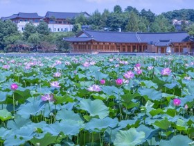 전주 덕진공원, 정비 마치고 창포원과 열린광장으로 새 단장