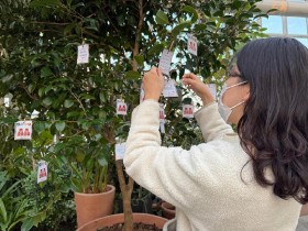 국립세종수목원, 2026년 새해 맞이 소원나무 이벤트 운영