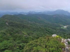 전남도, 남부권 산림복지·휴양관광 거점 구축 나선다…신규 3대 산림사업