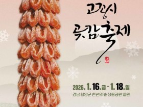 지리산함양 고종시 곶감축제 16일 개막…이찬원·전유진등 무대 선다