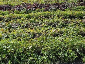 농진청, 전북 지역 발전사업 39개로 늘려