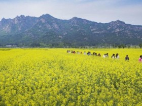 전남도, 국내외 단체관광객 유치 협력여행사 35곳 모집