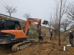 전남 영암군, 벚꽃 피어나는 녹색 쌈지숲과 복합산림경관숲을 조성