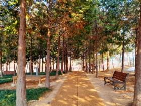 논산시, 공원에 ‘맨발걷기길’ 조성…주민 건강과 휴식 한곳에
