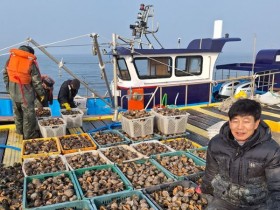 홍성 남당항서 참소라 대풍…겨울 미식여행 가볼까?