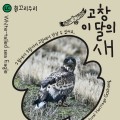고창갯벌 2월 이달의 새, 천연기념물 '흰꼬리수리' 선정