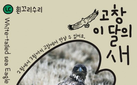 고창갯벌 2월 이달의 새, 천연기념물 '흰꼬리수리' 선정