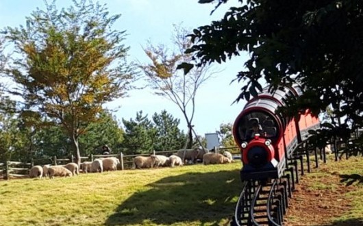 거제 숲소리공원, 양떼목장·모노레일 봄맞이 관광객 몰려