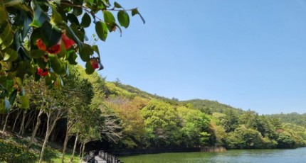 완도수목원 설 연휴 무료 개방…아열대온실·31개 전문소원등