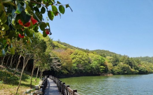 완도수목원 설 연휴 무료 개방…아열대온실·31개 전문소원등