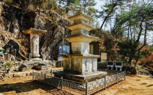 납월매 향기 따라…보물 품은 순천 금둔사, 봄맞이 명소 인기