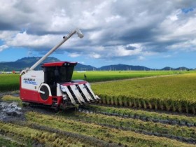 수급조절용 벼재배 농가모집…전남도 ㏊당 50만원 추가 지급